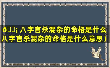 🐡 八字官杀混杂的命格是什么（八字官杀混杂的命格是什么意思）